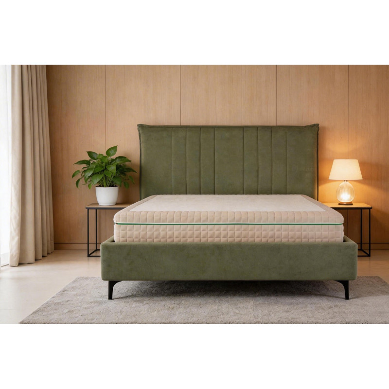 Industrial iron frame queen bed with wooden panels